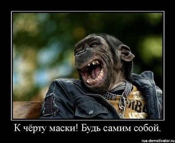 https://upforme.ru/uploads/001a/b7/49/78/t482600.jpg