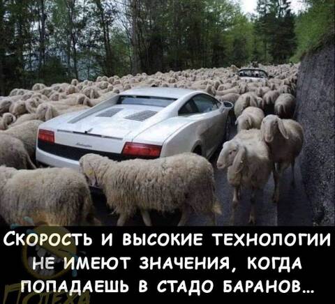 https://upforme.ru/uploads/001a/b7/49/78/t517235.jpg