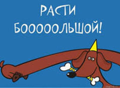 https://upforme.ru/uploads/001a/b7/49/78/t537835.jpg