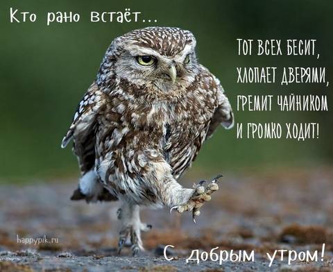 https://upforme.ru/uploads/001a/b7/49/78/t665581.jpg