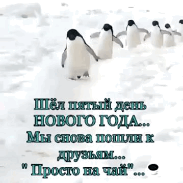 https://upforme.ru/uploads/001a/b7/49/79/t241633.gif