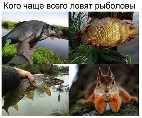 https://upforme.ru/uploads/001a/b7/49/79/t515337.jpg