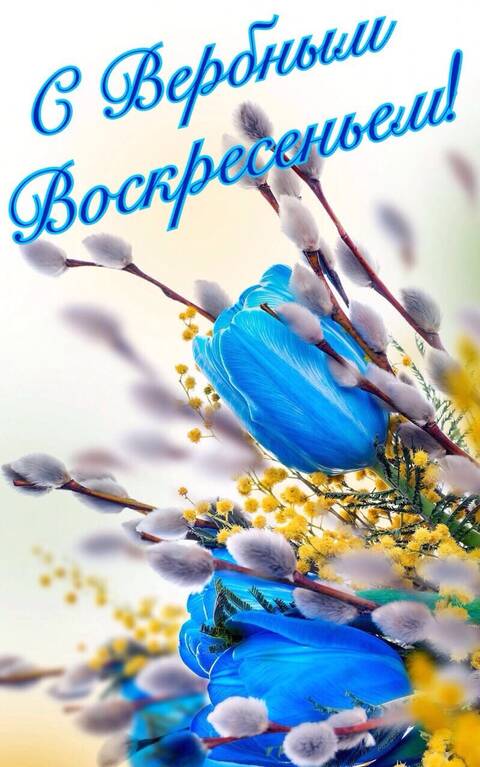 https://upforme.ru/uploads/001a/b7/49/79/t836208.jpg