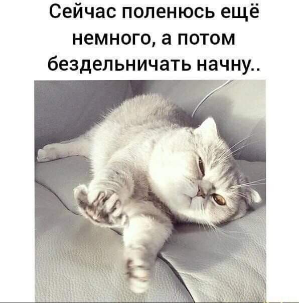 https://upforme.ru/uploads/001a/b7/49/82/638730.jpg