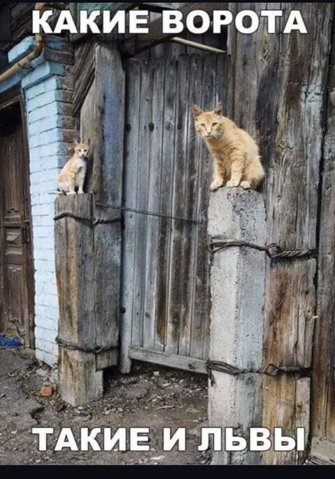 https://upforme.ru/uploads/001a/b7/49/82/t101006.jpg