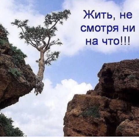 https://upforme.ru/uploads/001a/b7/49/82/t153379.jpg
