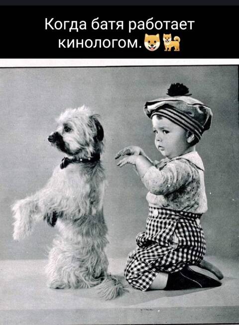 https://upforme.ru/uploads/001a/b7/49/82/t27588.jpg