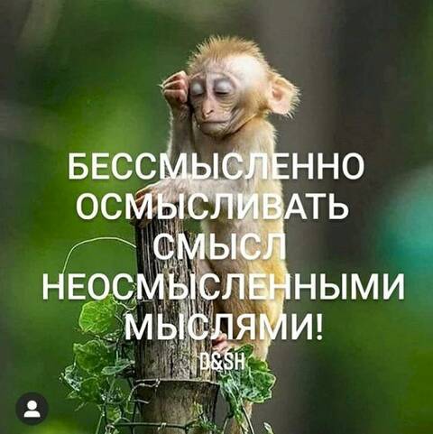 https://upforme.ru/uploads/001a/b7/49/82/t282262.jpg