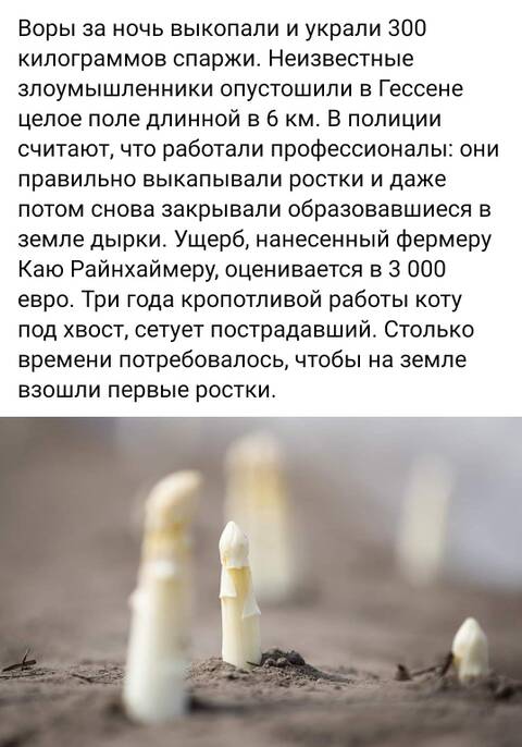https://upforme.ru/uploads/001a/b7/49/82/t286815.jpg