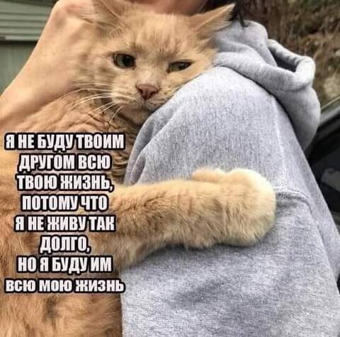 https://upforme.ru/uploads/001a/b7/49/82/t30239.jpg