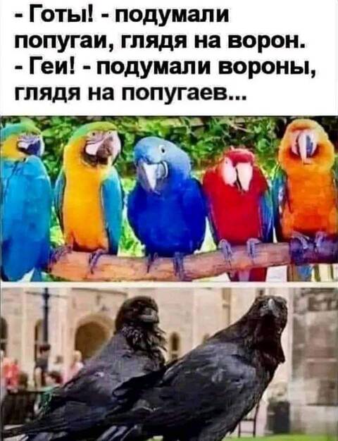https://upforme.ru/uploads/001a/b7/49/82/t34336.jpg