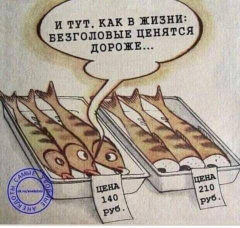 https://upforme.ru/uploads/001a/b7/49/82/t344586.jpg