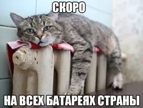 https://upforme.ru/uploads/001a/b7/49/82/t392486.webp