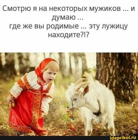 https://upforme.ru/uploads/001a/b7/49/82/t428772.jpg