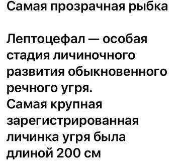 https://upforme.ru/uploads/001a/b7/49/82/t43594.jpg