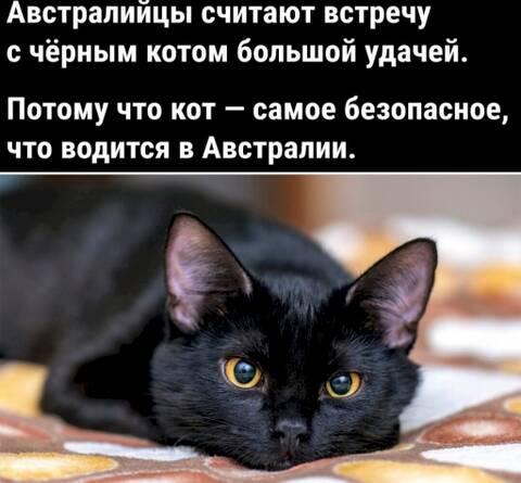 https://upforme.ru/uploads/001a/b7/49/82/t454957.jpg