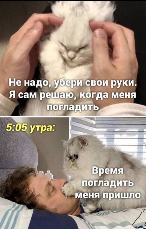 https://upforme.ru/uploads/001a/b7/49/82/t486443.jpg