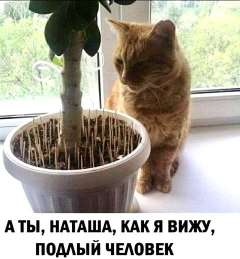 https://upforme.ru/uploads/001a/b7/49/82/t532993.jpg