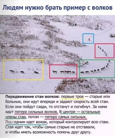 https://upforme.ru/uploads/001a/b7/49/82/t559270.jpg