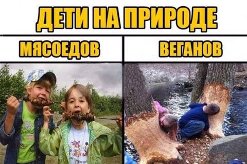 https://upforme.ru/uploads/001a/b7/49/82/t667925.jpg