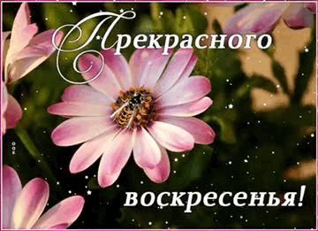 https://upforme.ru/uploads/001a/b7/49/82/t670700.gif