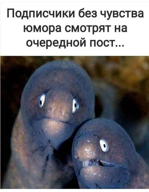 https://upforme.ru/uploads/001a/b7/49/82/t721150.jpg