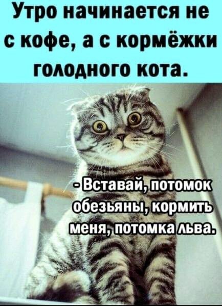 https://upforme.ru/uploads/001a/b7/49/82/t727757.jpg