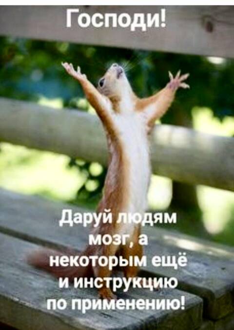 https://upforme.ru/uploads/001a/b7/49/82/t744659.jpg