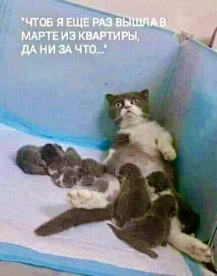 https://upforme.ru/uploads/001a/b7/49/82/t784064.jpg