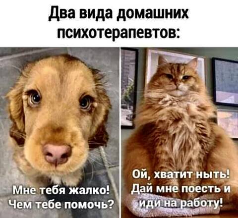 https://upforme.ru/uploads/001a/b7/49/82/t802901.jpg