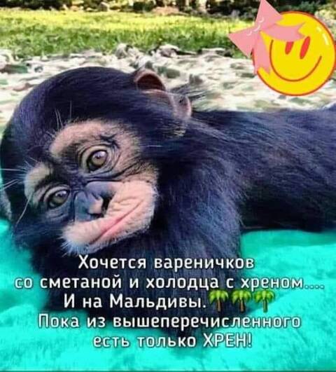 https://upforme.ru/uploads/001a/b7/49/82/t827447.jpg