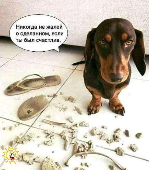https://upforme.ru/uploads/001a/b7/49/82/t876078.jpg
