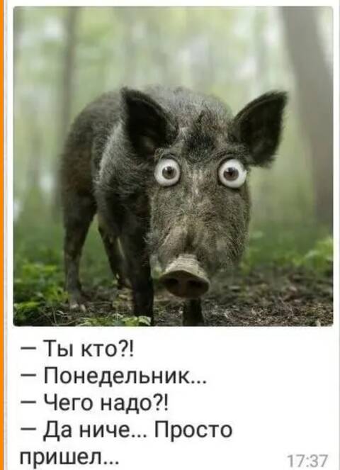https://upforme.ru/uploads/001a/b7/49/82/t897343.jpg