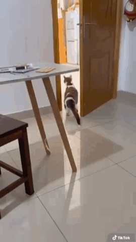 https://upforme.ru/uploads/001a/b7/49/82/t959403.gif