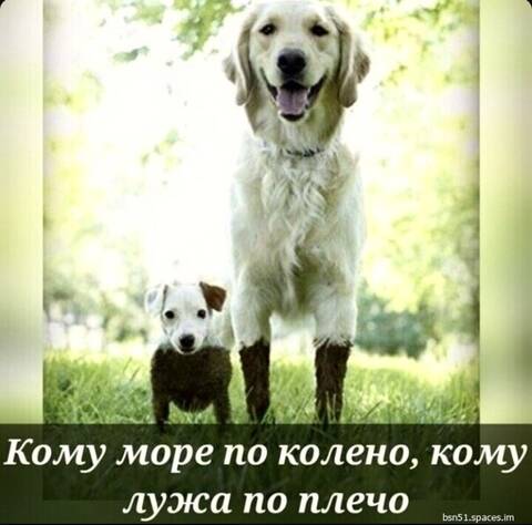 https://upforme.ru/uploads/001a/b7/49/82/t964412.jpg