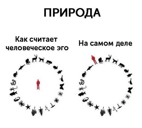 https://upforme.ru/uploads/001a/b7/49/83/t576065.jpg