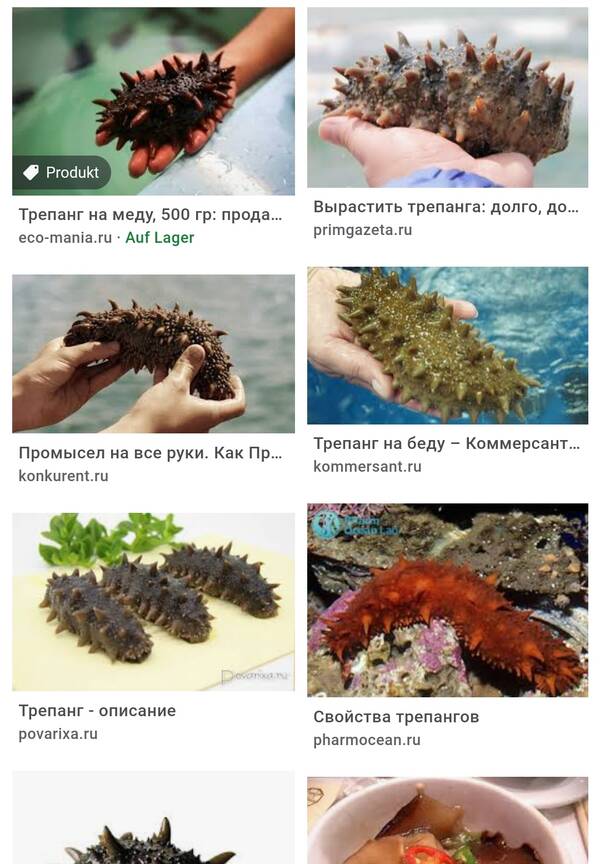https://upforme.ru/uploads/001a/b7/49/96/t186183.jpg