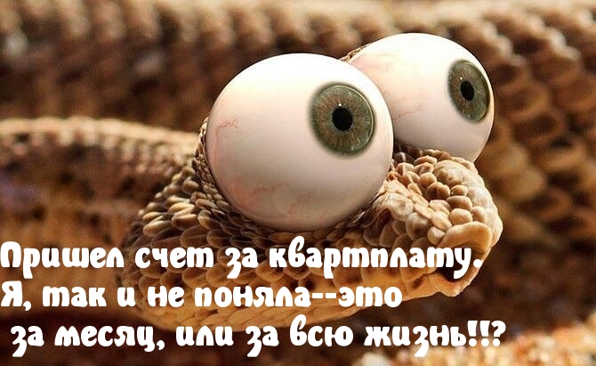 https://upforme.ru/uploads/001a/b7/a9/2/291978.jpg
