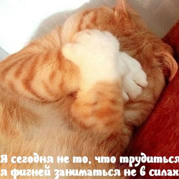 https://upforme.ru/uploads/001a/b7/a9/2/t10785.jpg