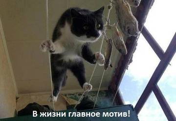 https://upforme.ru/uploads/001a/b7/a9/2/t13875.jpg
