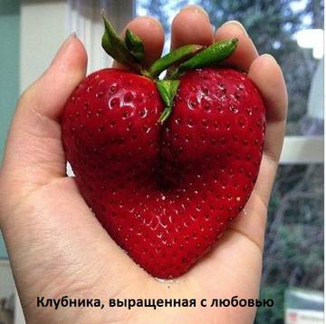 https://upforme.ru/uploads/001a/b7/a9/2/t208232.jpg