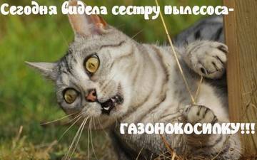https://upforme.ru/uploads/001a/b7/a9/2/t213568.jpg
