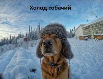https://upforme.ru/uploads/001a/b7/a9/2/t213843.jpg