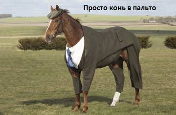 https://upforme.ru/uploads/001a/b7/a9/2/t23595.jpg