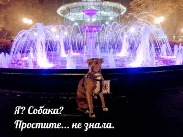 https://upforme.ru/uploads/001a/b7/a9/2/t270843.jpg