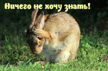 https://upforme.ru/uploads/001a/b7/a9/2/t275545.jpg