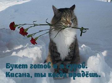 https://upforme.ru/uploads/001a/b7/a9/2/t277008.jpg