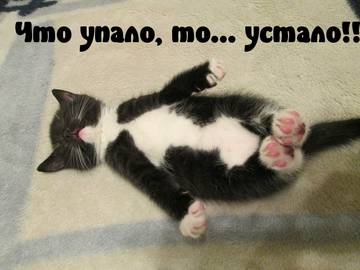 https://upforme.ru/uploads/001a/b7/a9/2/t31638.jpg