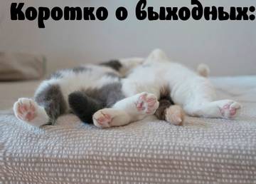 https://upforme.ru/uploads/001a/b7/a9/2/t33053.jpg