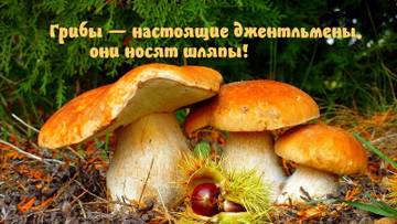 https://upforme.ru/uploads/001a/b7/a9/2/t33328.jpg